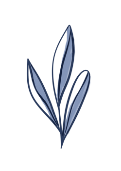 One line drawing  monstera leaf and palm tree leaves png