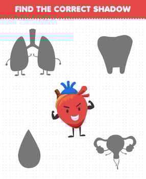Education game for children find the correct shadow set of cute cartoon human organ heart vector