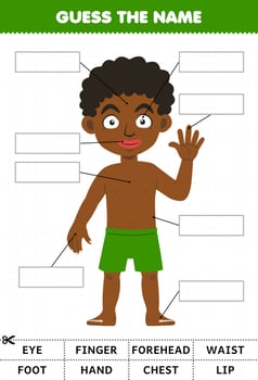 Education game for children guess the name of cute cartoon boy body part anatomy worksheet vector