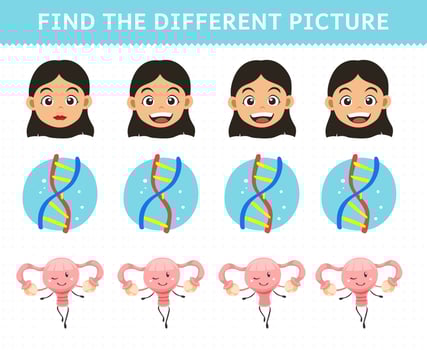 Education game for children find the different picture in each row cute cartoon human anatomy and organ girl head dna uterus vector