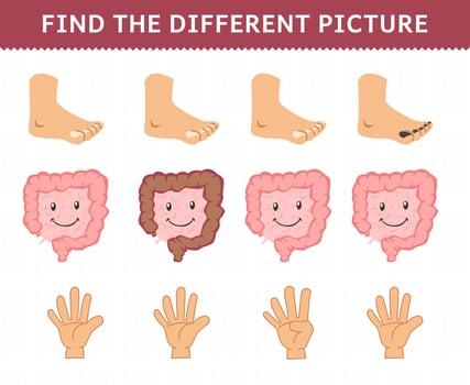 Education game for children find the different picture in each row cute cartoon human anatomy and organ foot intestine hand finger vector