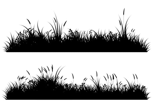 meadow silhouette. summer grass vector