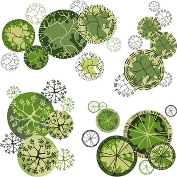 Tree for architectural floor plans. Entourage design. Various trees, bushes, and shrubs, top view for the landscape design plan. vector
