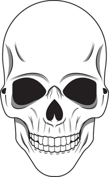 white skull illustration vector
