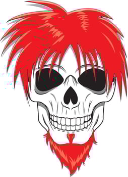 Skull with red haired vector