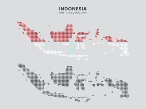 Indonesian halftone square maps vector