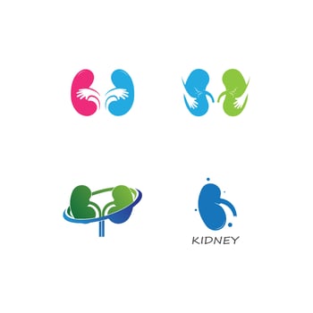 kidney logo vector