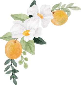 watercolor white flower and orange fruit bouquet png