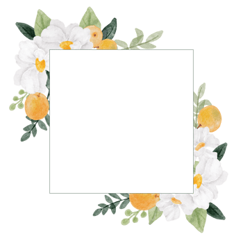 watercolor white flower and orange fruit wreath frame banner background png