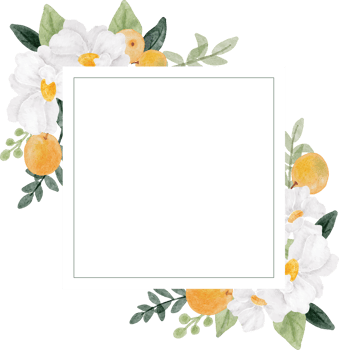 watercolor white flower and orange fruit wreath frame banner background png