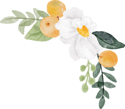 watercolor white flower and orange fruit bouquet png