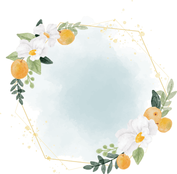 watercolor white flower and orange fruit wreath with golden geometry frame on splash background png