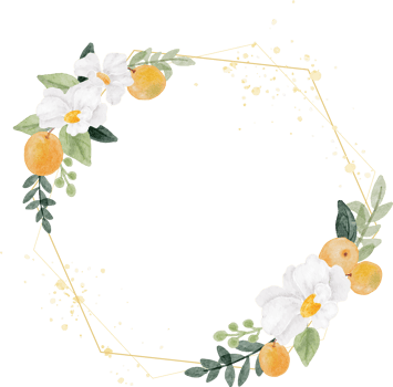 watercolor white flower and orange fruit wreath with golden geometry frame png