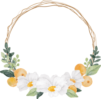 watercolor white flower and orange fruit wreath frame png