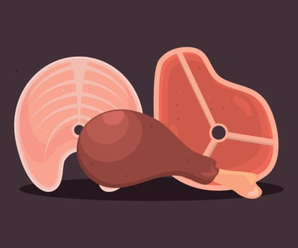 fresh protein food vector