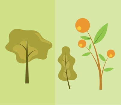 set spring season vector