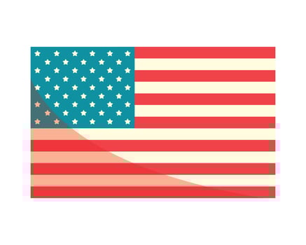 United States of America flag vector