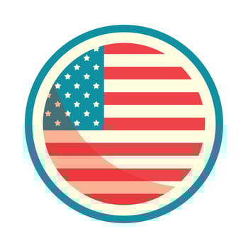 flag of USA vector