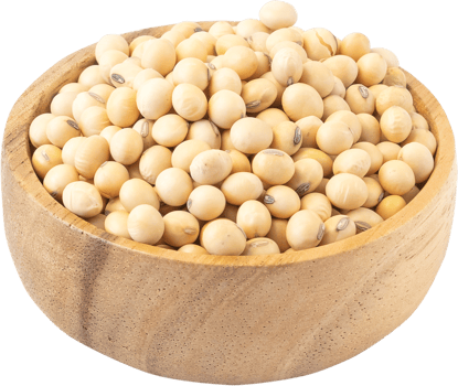 whole grains beans isolated. healthy diet raw ingredients. png