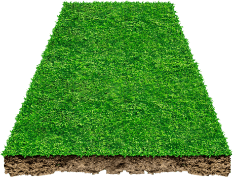3d green grass field png