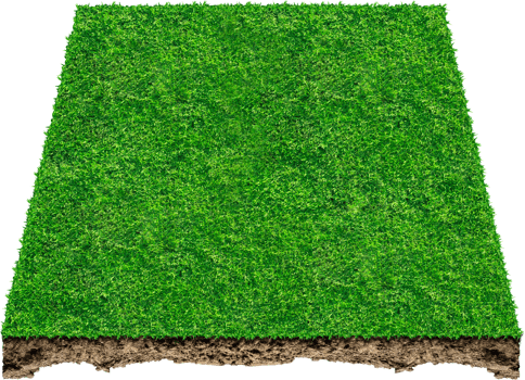 3d green grass field png