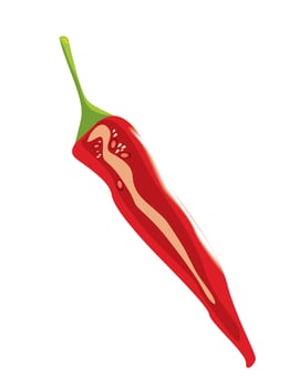 chili pepper half vegetable vector
