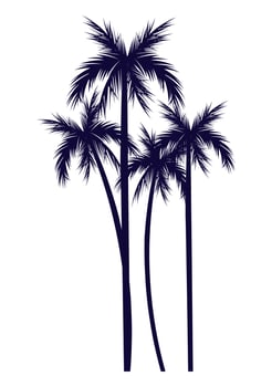 trees palms silhouettes vector