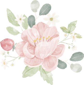 watercolor pink rose bouquet png