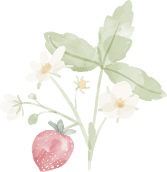 minimal watercolor hand drawn wild strawberry wreath frame png