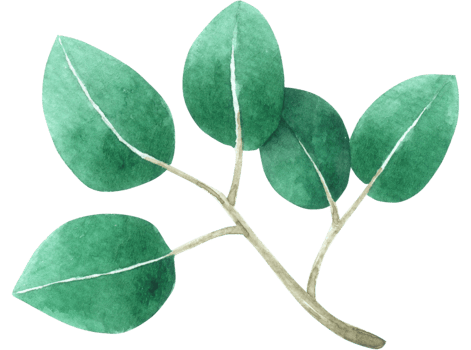 Green Leaf watercolor png