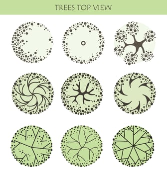 Tree for architectural floor plans. Entourage design. Various trees, bushes, and shrubs, top view for the landscape design plan. vector