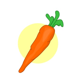 Vector graphics of carrots isolated on white background