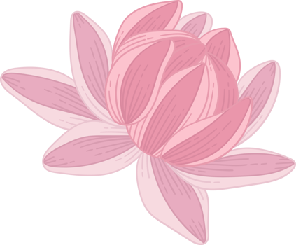 Pink dahlia flower hand drawn illustration. png