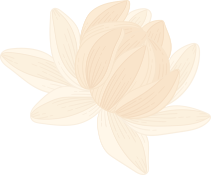White dahlia flower hand drawn illustration. png