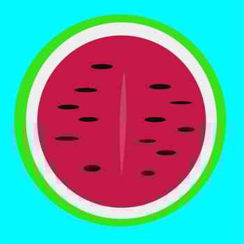 fresh watermelon fruit icon vector illustration