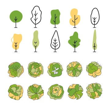 Tree for architectural floor plans. Entourage design. Various trees, bushes, and shrubs, top view for the landscape design plan. vector