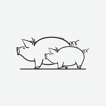 Cartoon pig Design illustration vector