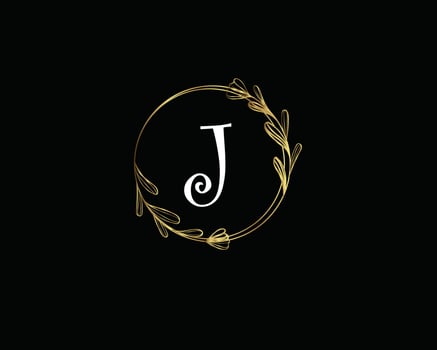 luxury letter logo vector