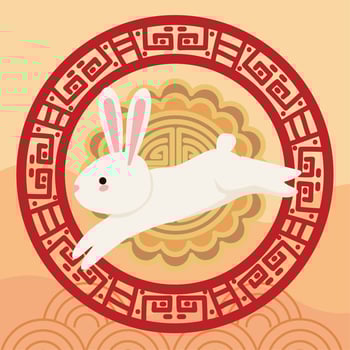 chinese moon festival rabbit with frame vector