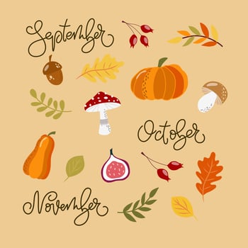 Set of handdrawn autumn elements-pumpkins, berries, yellow, red leaves, figue, acorn, calligraphy names of months. For design calendars, posters, scrapbooking. vector