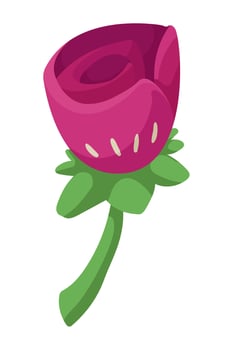 purple rose flower vector