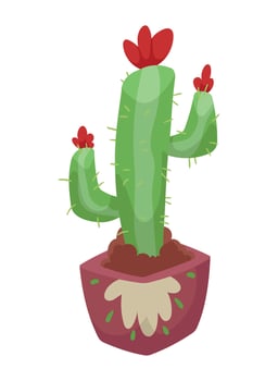 mexican cactu plant vector