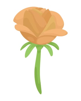beautiful daffodil flower garden vector