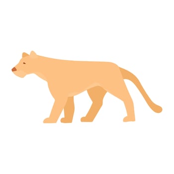 cougar wild animal vector