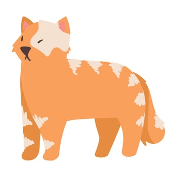 white and orange cat vector
