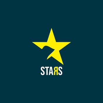 star logo illustration vector design