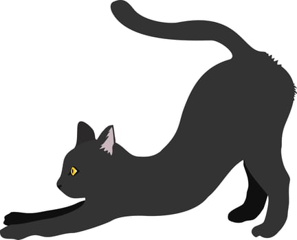 black cat stretching vector