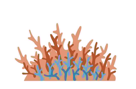 Corals on reef. Underwater plants. Exotic tropical undersea. Flat cartoon illustration vector