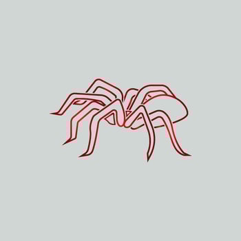 Spider icon. vector illustration template design
