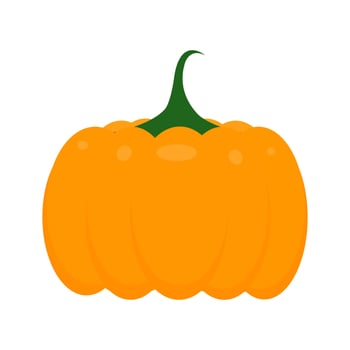 Orange pumpkin on white background. vector